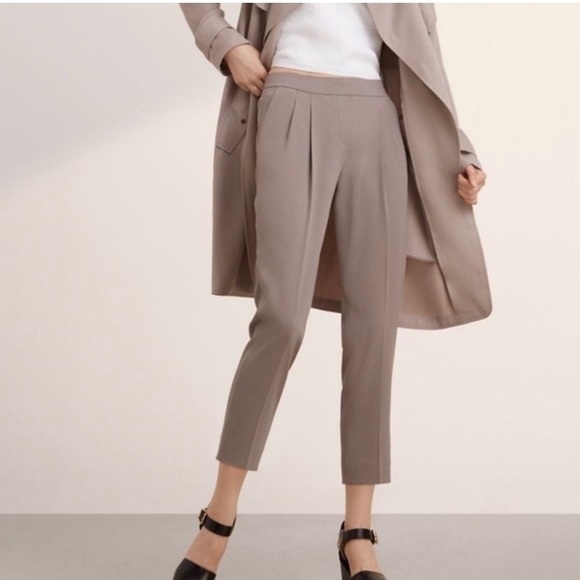 Aritzia Pants - Babaton Cohen pants size 12